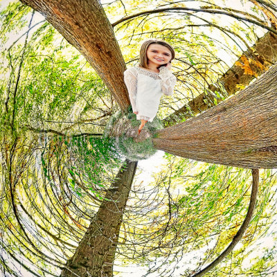 Amanda's World