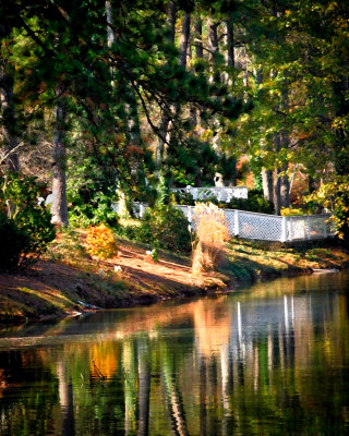 Autumn Pond