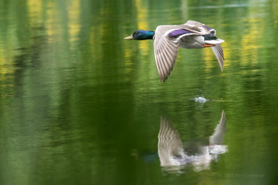 20130602_3a7b3602.jpg