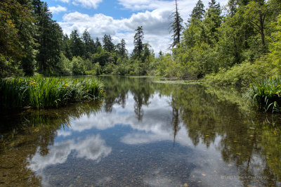 20130602_4w8a0561_2_3_4_5.jpg