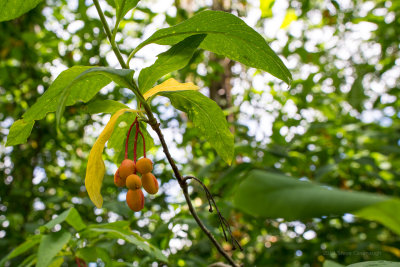 20130602_4w8a0566.jpg