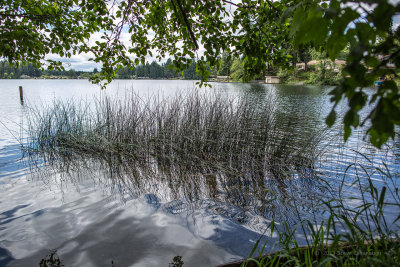20130602_4w8a0582.jpg