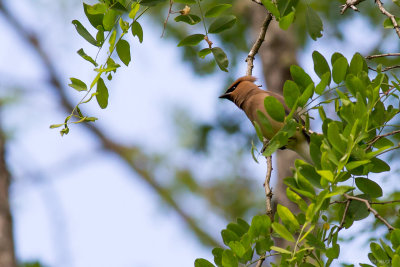 20130609_3a7b3734.jpg