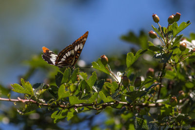 20130630_3a7b4331.jpg