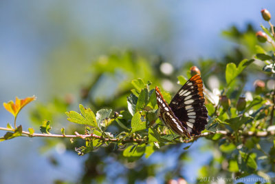 20130630_3a7b4345.jpg