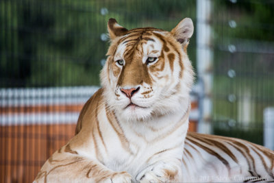 20130705_3a7b4435.jpg
