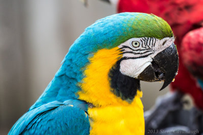 20130705_3a7b4473.jpg