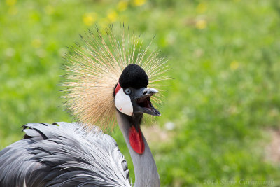 20130705_3a7b4553_1.jpg