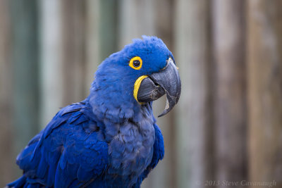 20130705_3a7b4581.jpg