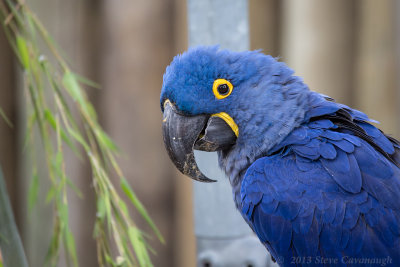 20130705_3a7b4590.jpg