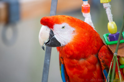 20130705_3a7b4594.jpg