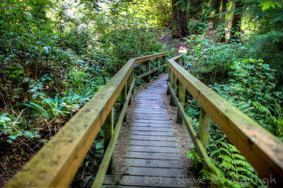 Schmitz Preserve in West Seattle, September 1, 2013