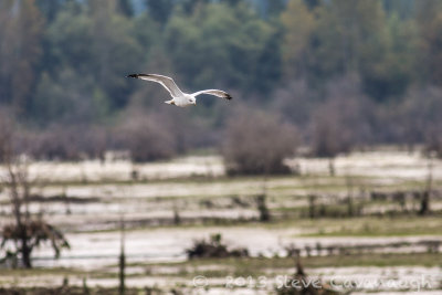 20130907_3a7b5228.jpg