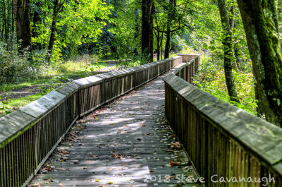 Nisqually National Wildlife Refuge, August 7, 2013