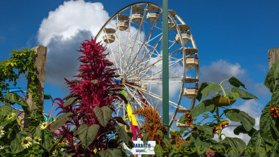 20130921_dscf1135.jpg