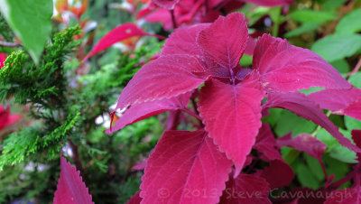 20131002_dscf1367.jpg