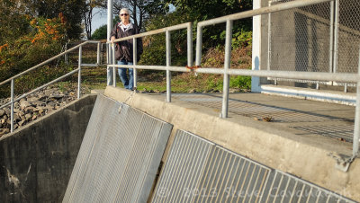 20131012_dscf1750.jpg