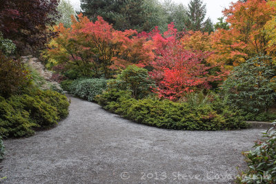 Bellevue Botanical Gardens, October 21, 2013