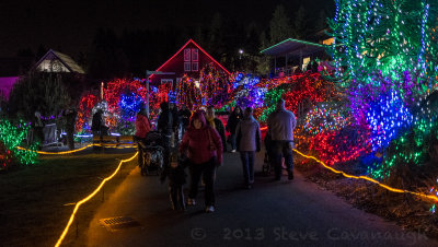 Zoo lights at Point Defiance Zoo, January 4, 2014