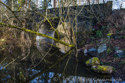 Wapato Park - February 2, 2014