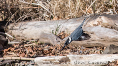 20140312_3a7b5849.jpg