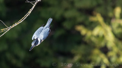 20140312_3a7b5891.jpg