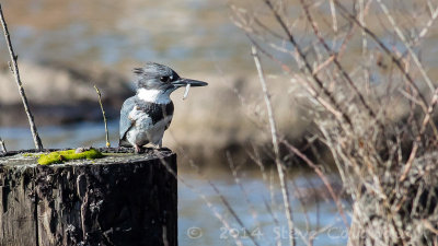20140312_3a7b5924.jpg
