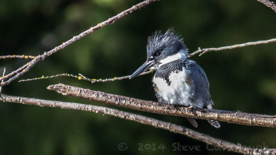 20140312_3a7b5943.jpg