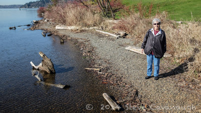 Kingfisher at Coulon Park - March 12, 2014