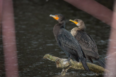 20140306_3a7b5797.jpg