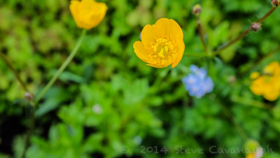 20140524_dscf5347.jpg