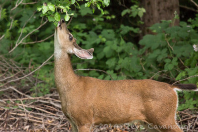 20140614_3a7b6799_2.jpg