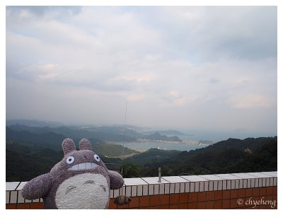 Totoro 好開心
