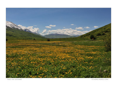 Passo San Leonardo.jpg