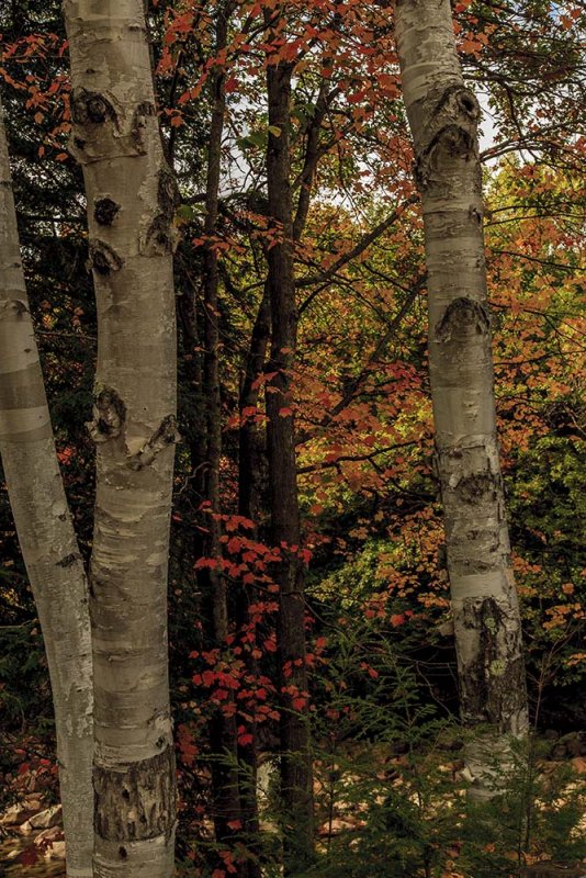 New Hampshire - Fall Foliage