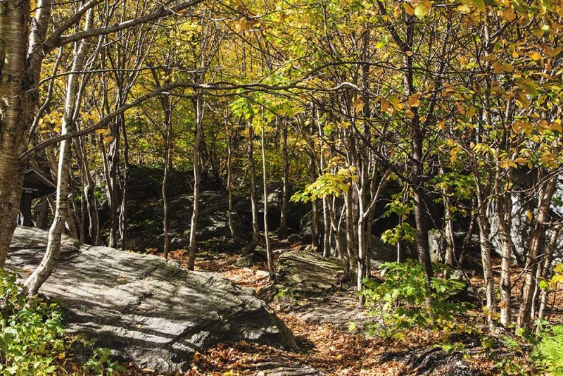 Sights in around Stowe, Vermont
