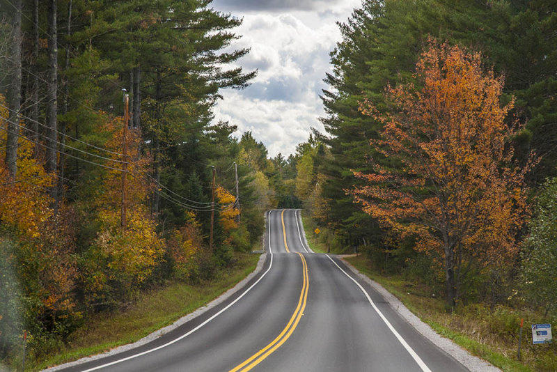Fall Foliage