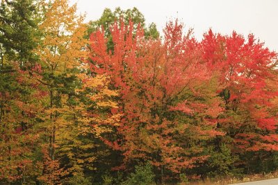 Maine - Fall Foliage