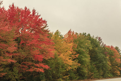 Maine - Fall Foliage