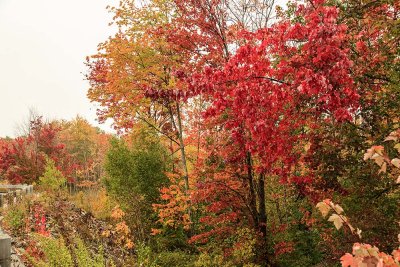 Maine - Fall Foliage