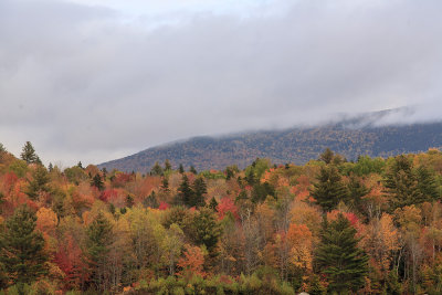 Maine - Fall Foliage