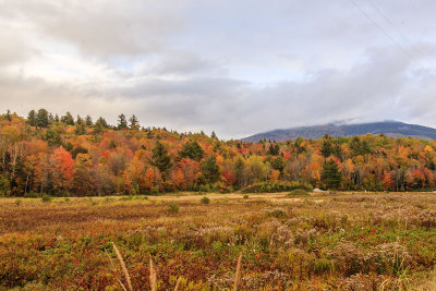 Maine - Fall Foliage