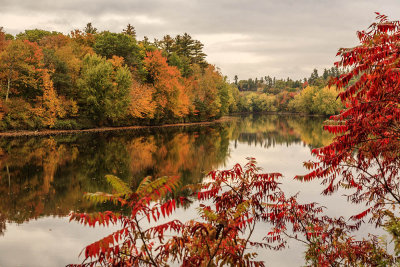Maine - Lake Foliage