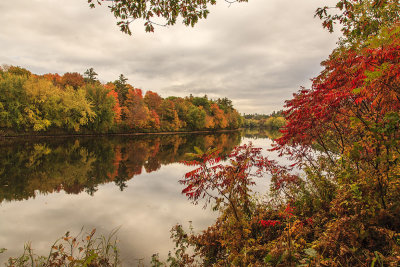 Maine - Lake Foliage