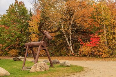 New Hampshire - Foliage