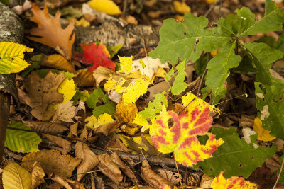 New Hampshire - Fall Foliage