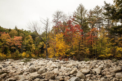 New Hampshire - Fall Foliage