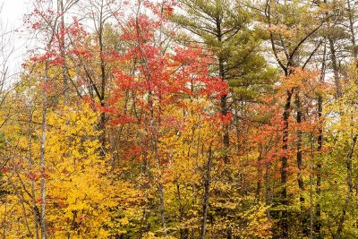 New Hampshire - Fall Foliage