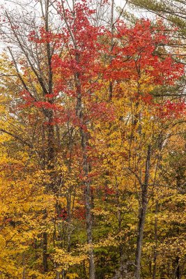 New Hampshire - Fall Foliage