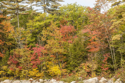 New Hampshire - Fall Foliage